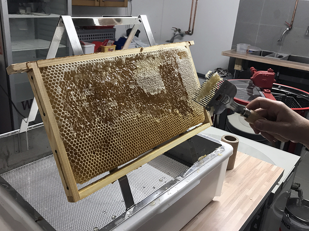 Deutscher Bienen Honig Honigernte